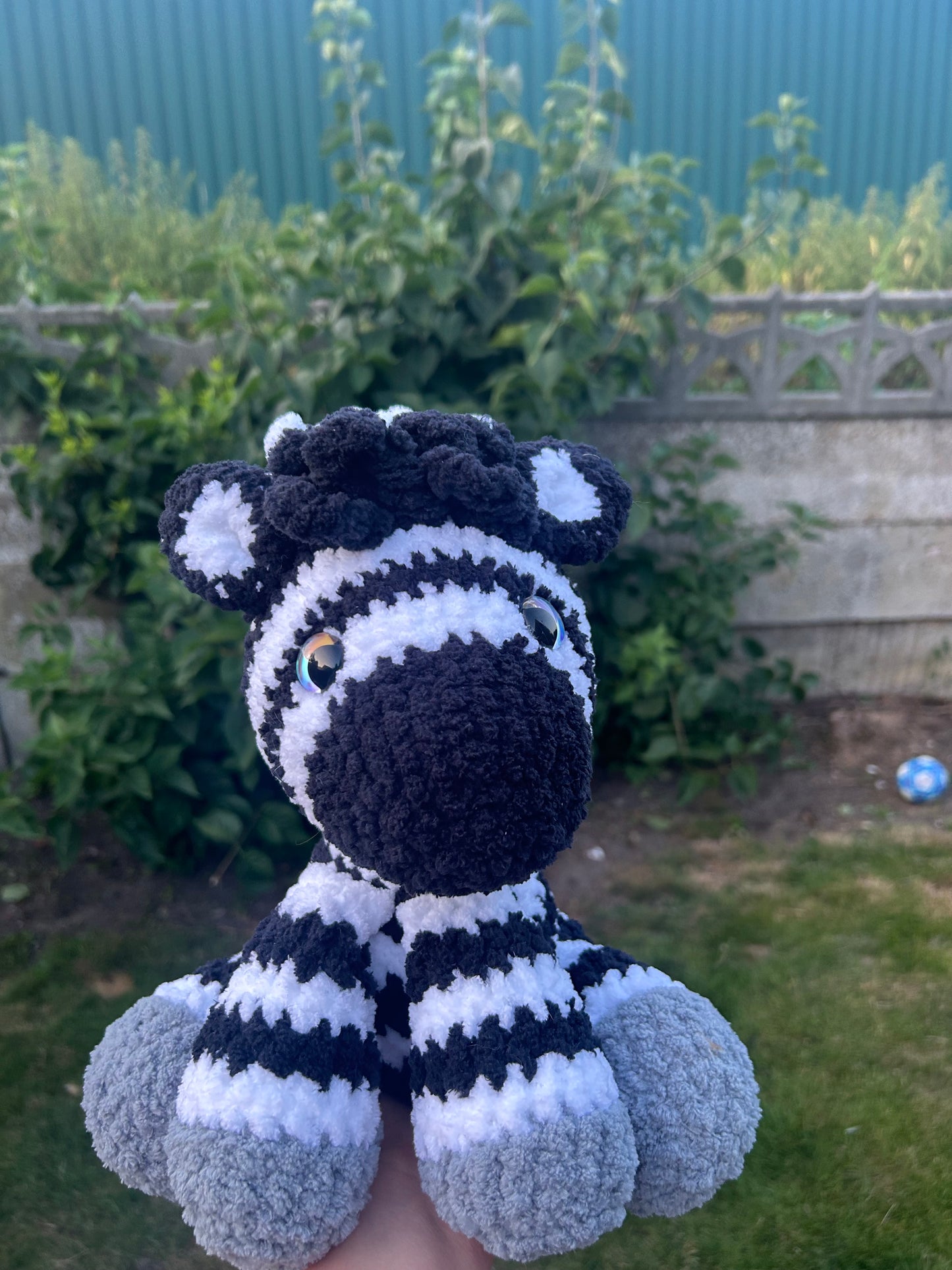 Zebra