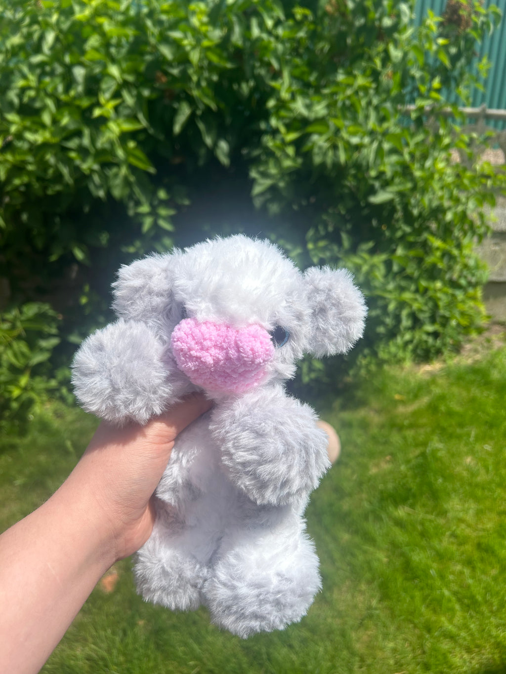 Baby cow grey