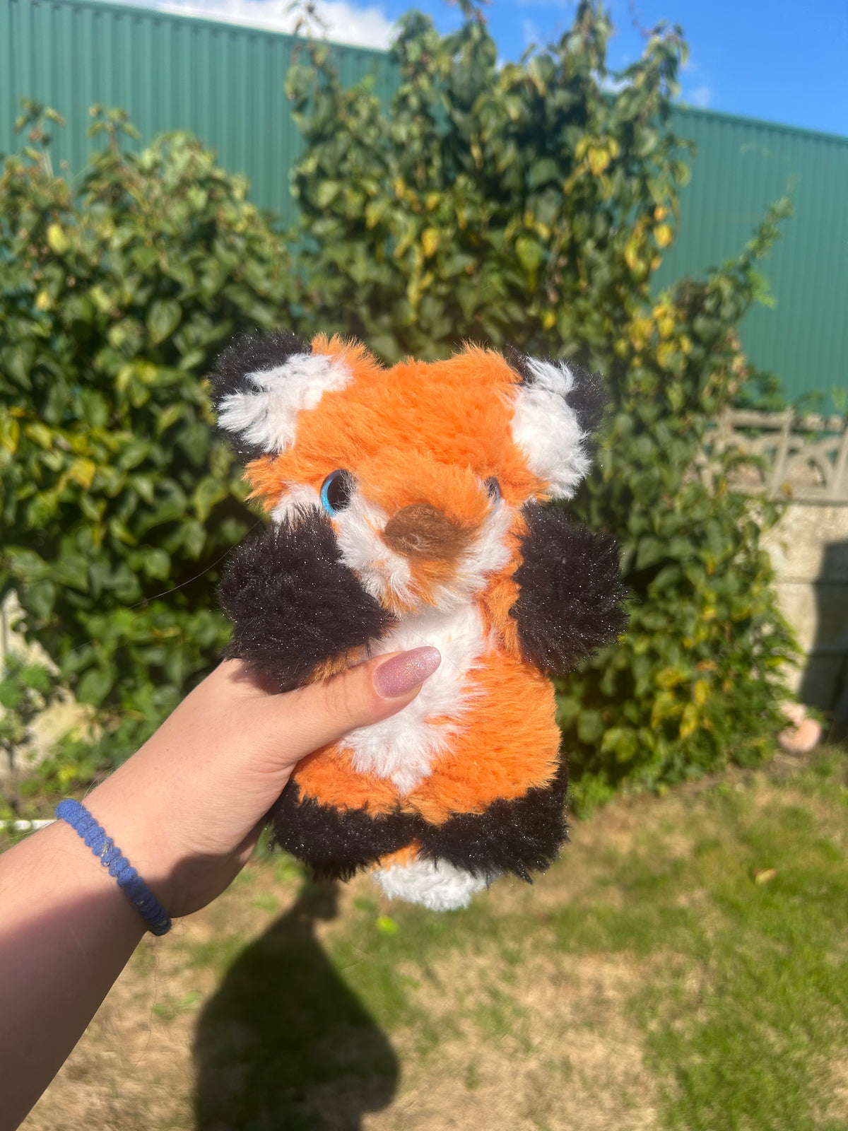 Fluffy fox