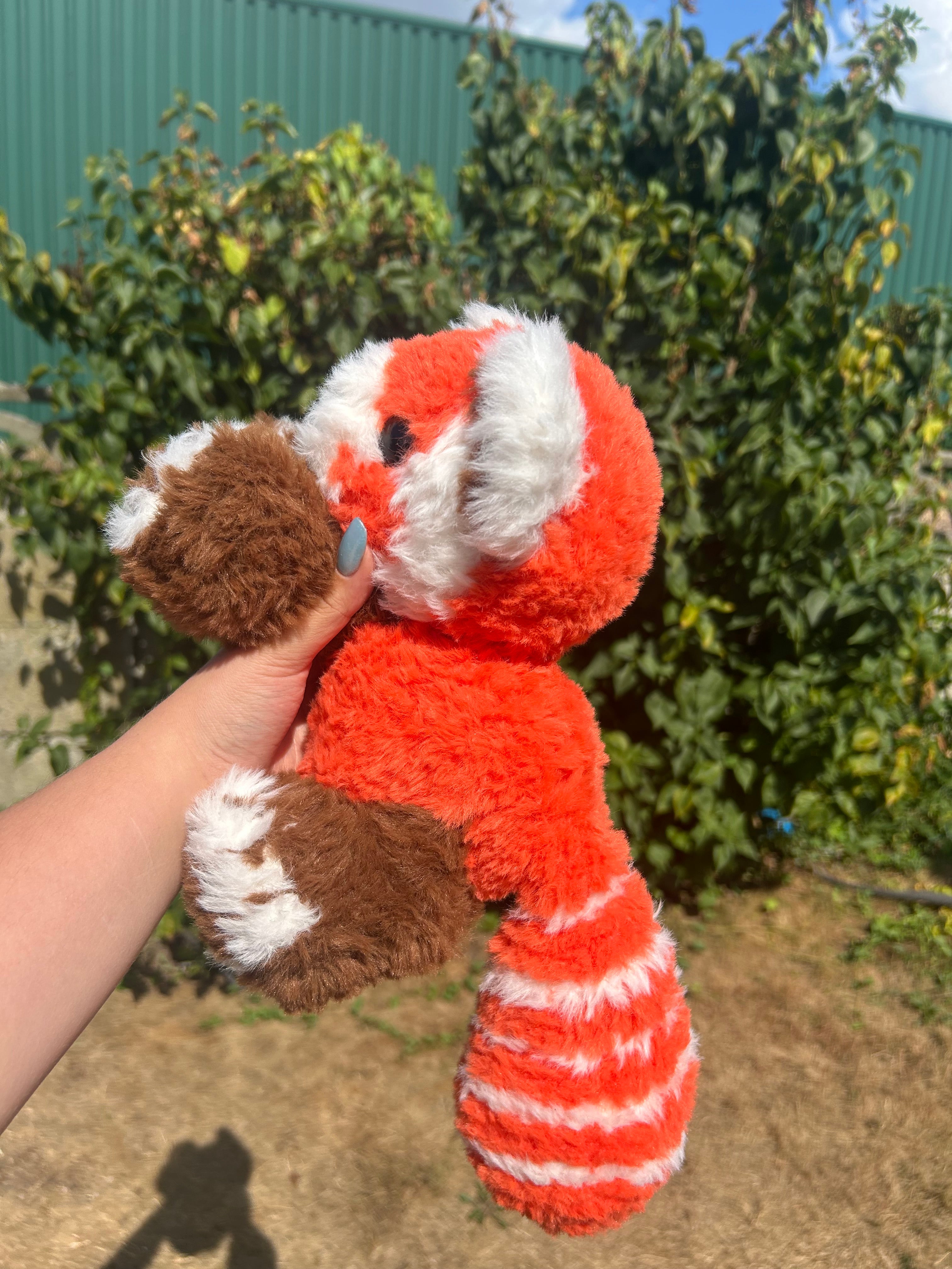 Red panda