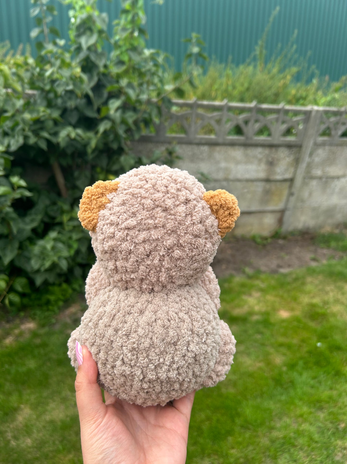Chubby capybara