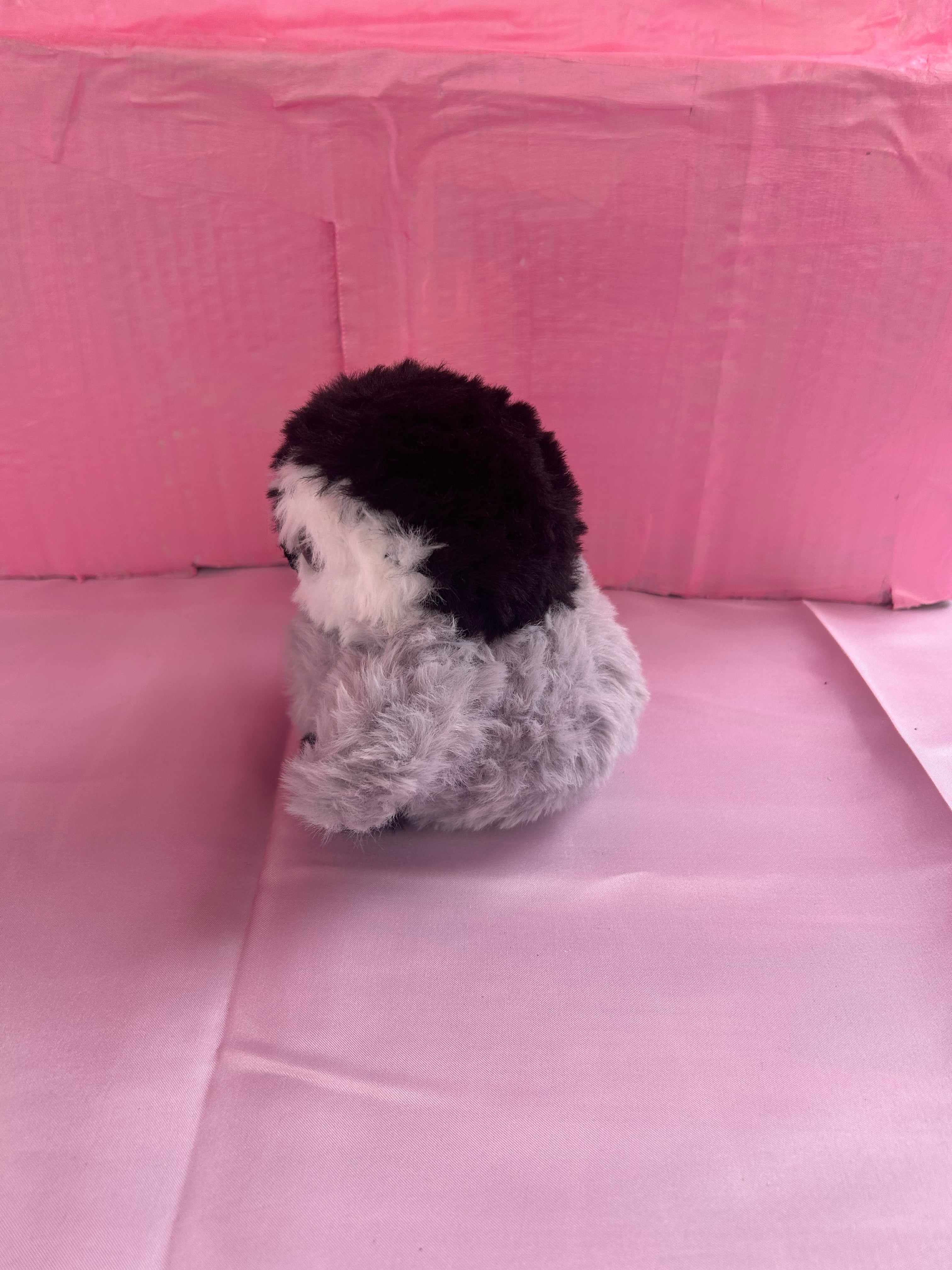 Baby penguin