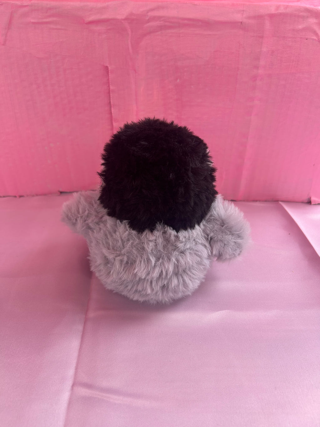 Baby penguin