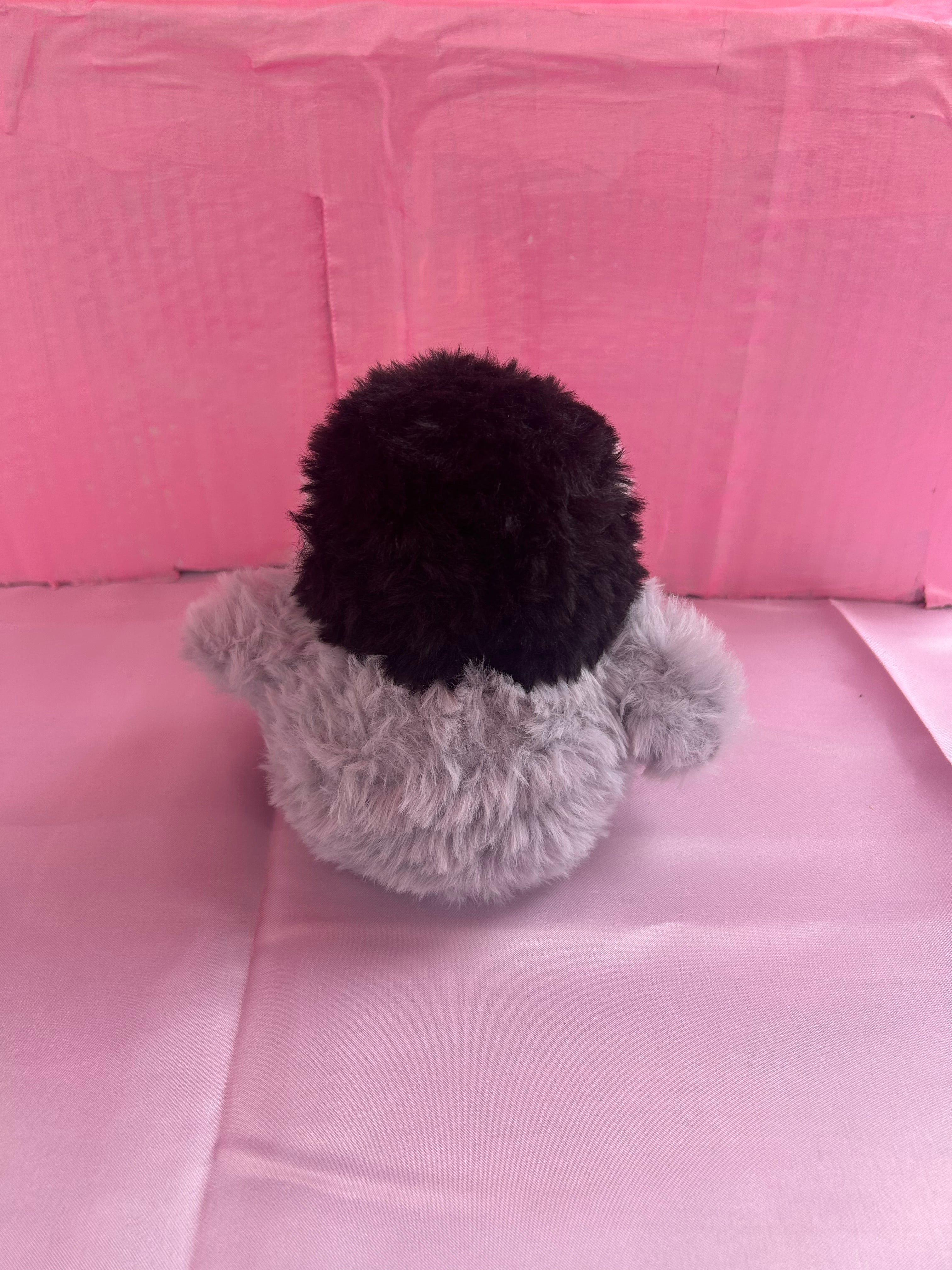 Baby penguin