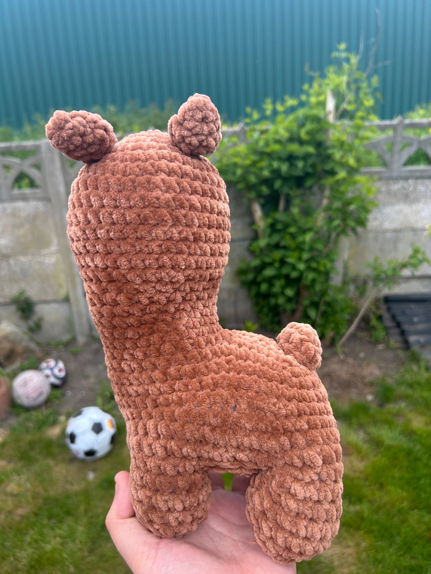 Llama