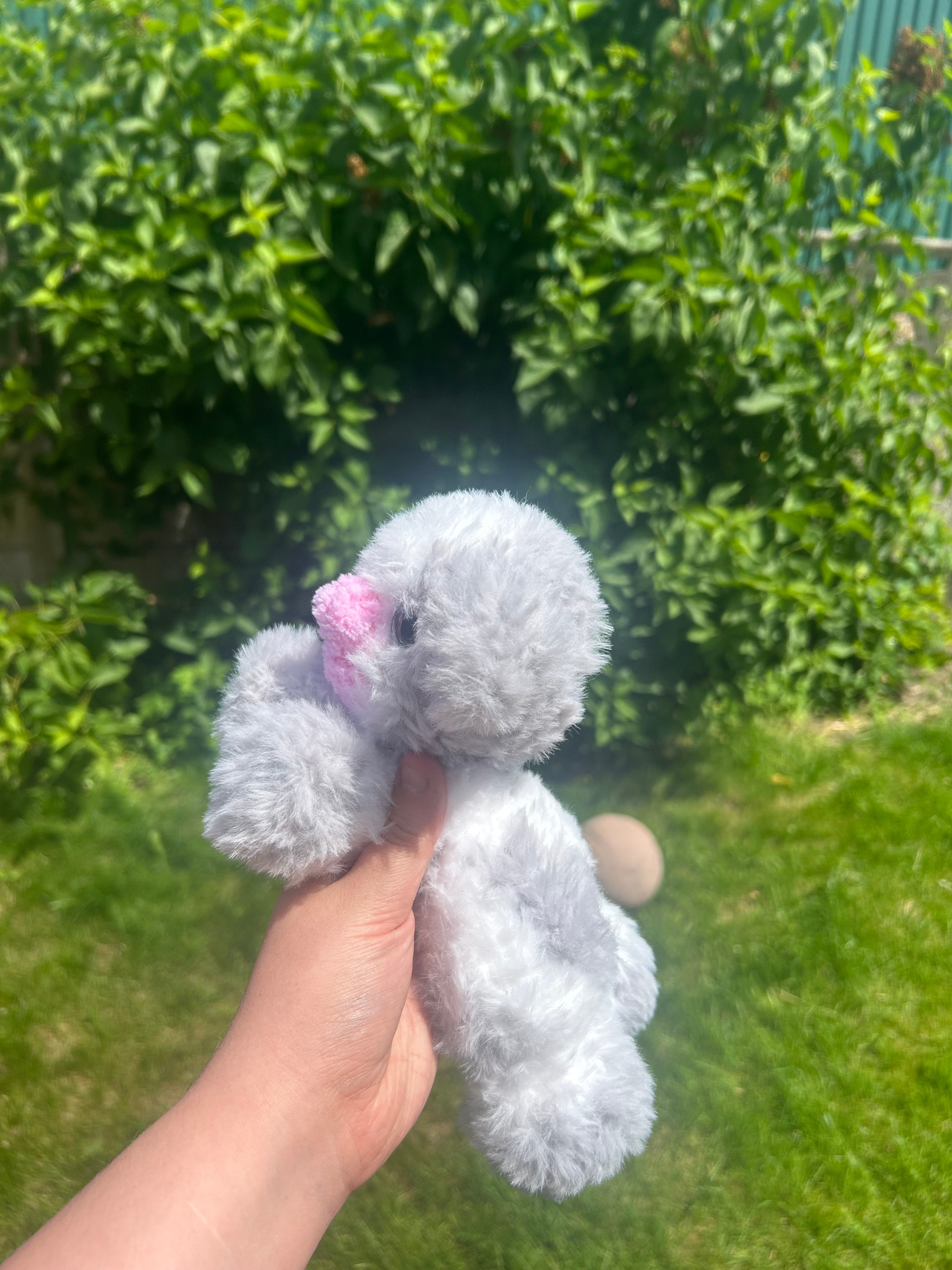 Baby cow grey