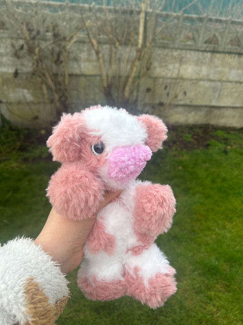 Baby cow pink