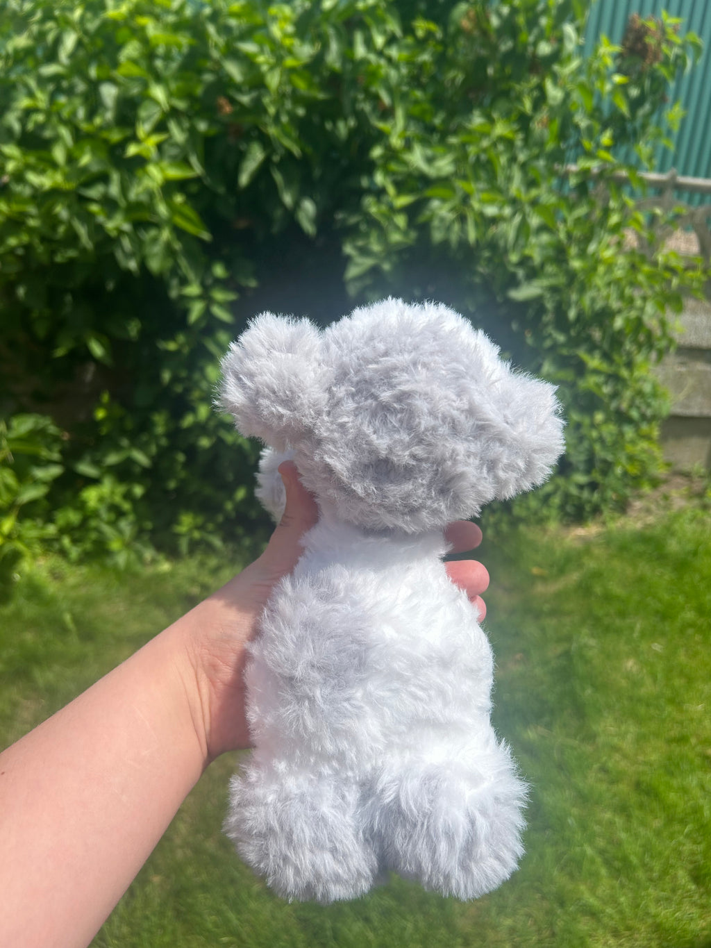 Baby cow grey