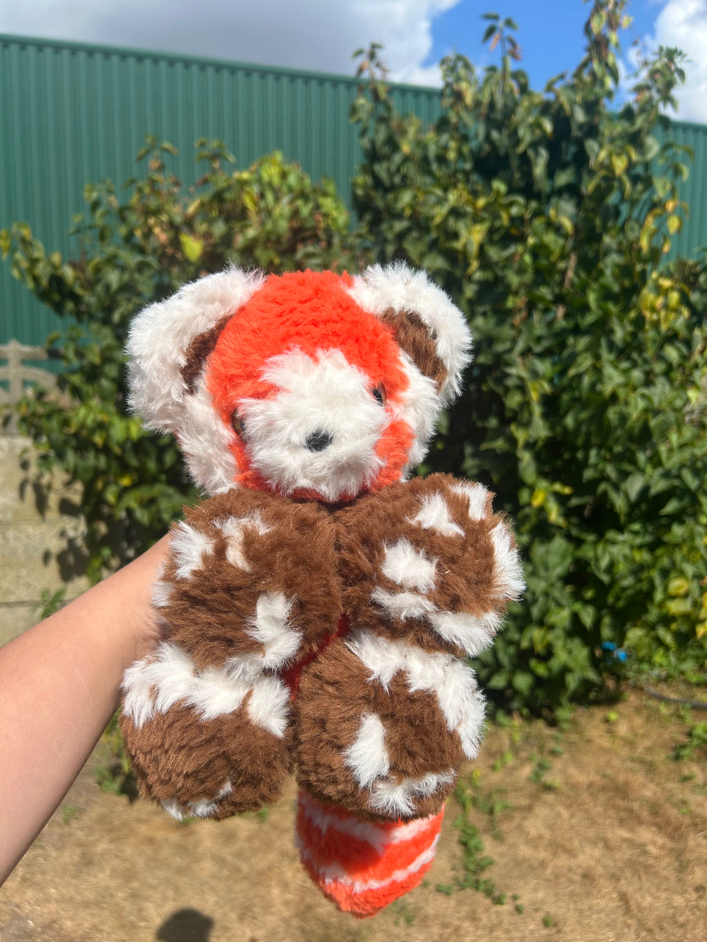 Red panda