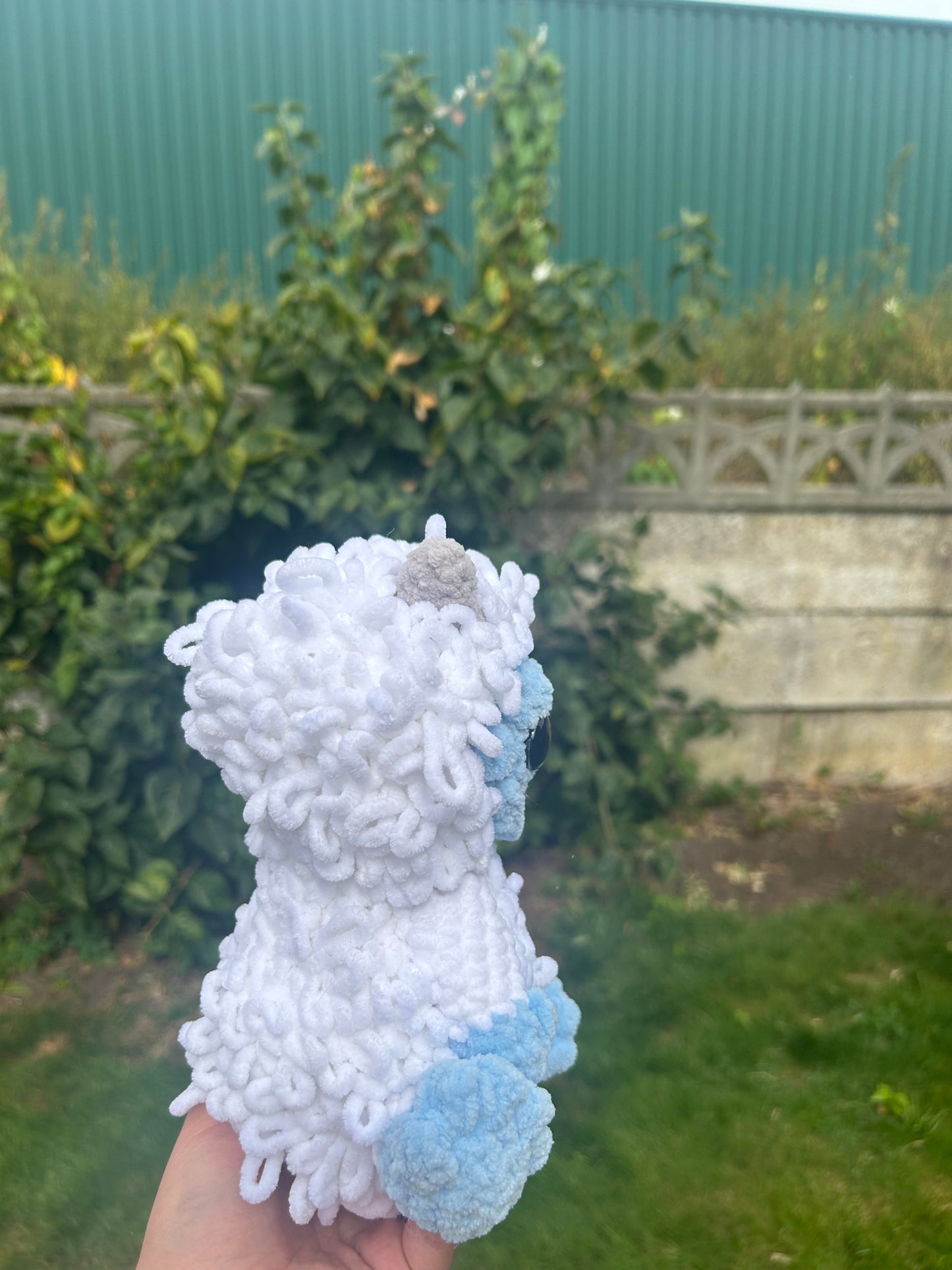 Yeti